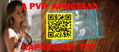 шишки Тара